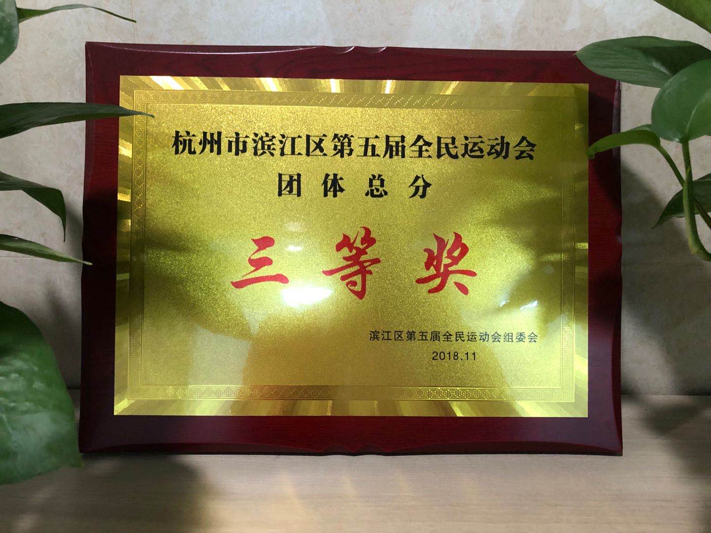 WechatIMG41.jpg WechatIMG41.jpg